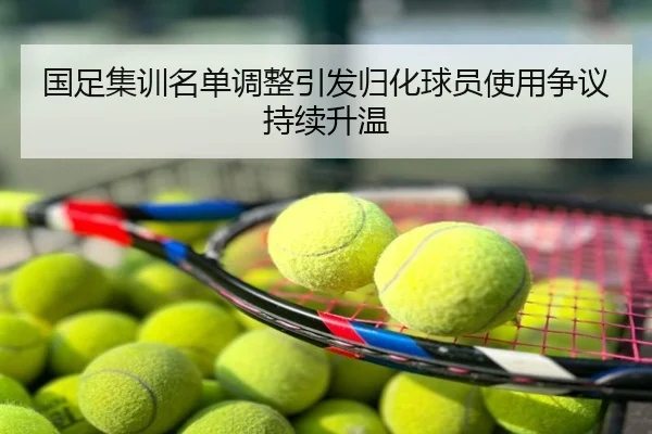 国足集训名单调整引发归化球员使用争议持续升温